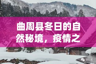 曲周县冬日自然秘境，疫情下的心灵疗愈之旅