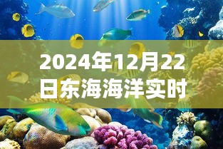 东海海洋实时动态，2024年12月22日更新