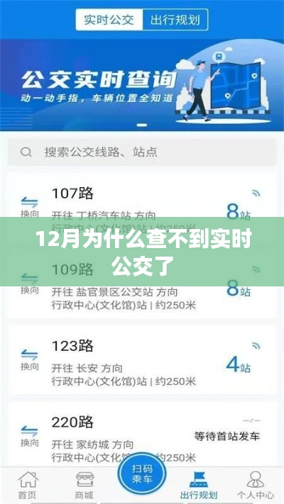 实时公交查询服务在12月为何无法正常使用？