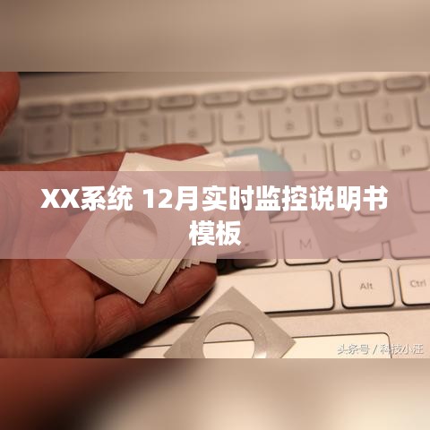 XX系统12月实时监控使用指南