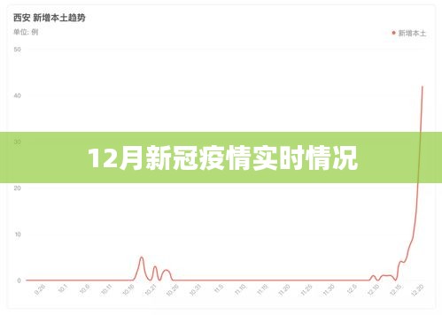 最新！12月新冠疫情实时动态分析