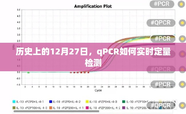 历史上重要日子背后的实时定量PCR检测技术揭秘