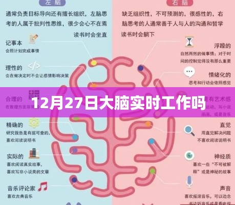 大脑实时工作状态，探究12月27日的脑活动