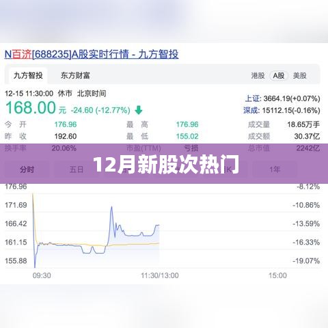 新股次热门榜单揭晓，关注热点在12月