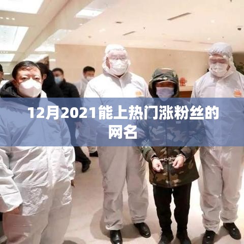 热门涨粉网名精选，2021年12月上榜