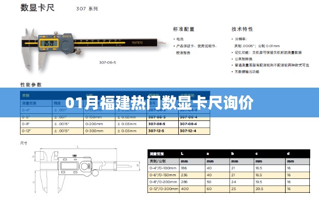 福建数显卡尺最新报价及询价指南