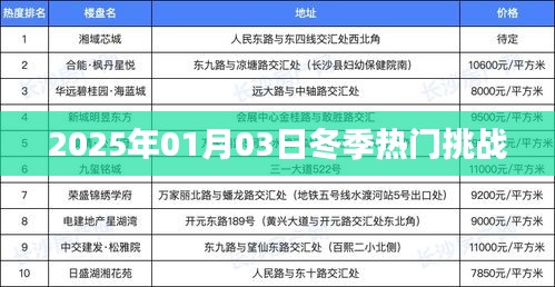 冬季热门挑战抢先看，2025年1月3日来袭