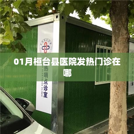 桓台县医院发热门诊位置一月最新指南