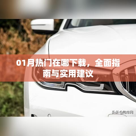 01月热门软件下载指南，全面攻略与实用建议