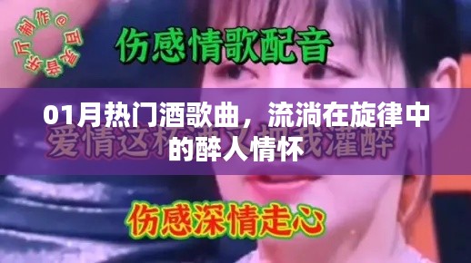 热门酒歌曲，旋律中的醉人情怀