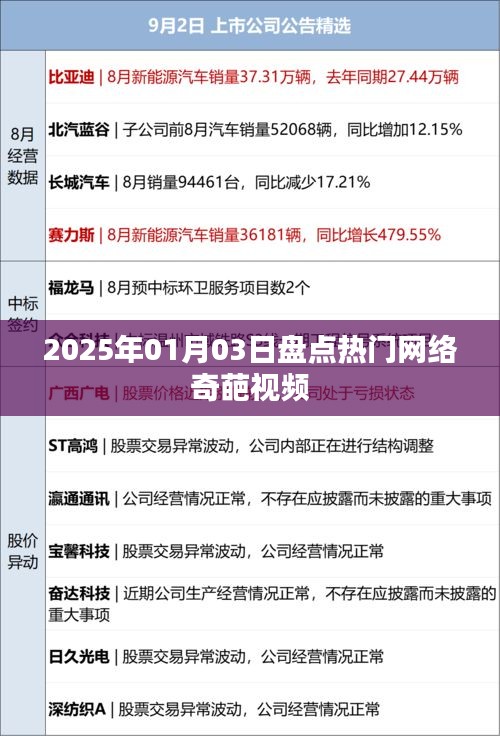 『2025年热门网络奇葩视频大盘点』