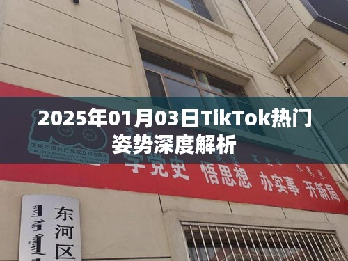 TikTok热门姿势深度解析（2025年1月3日）