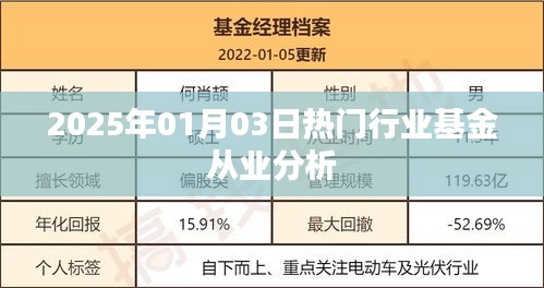 热门行业基金从业深度解析，洞悉未来趋势