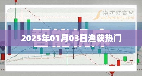 2025年1月3日渔获市场大热