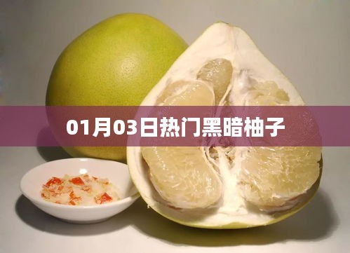 热门黑暗柚子，最新动态揭秘