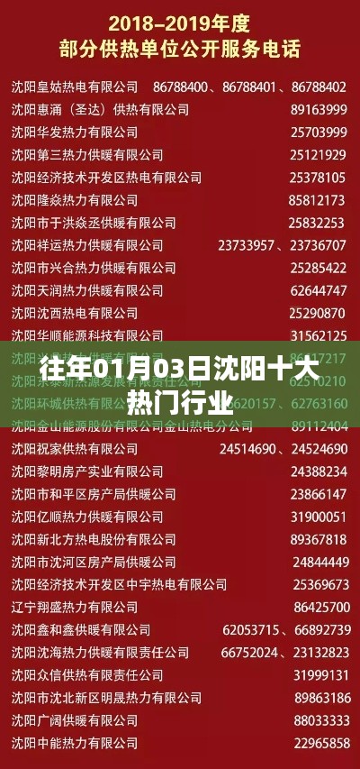 沈阳历年一月初热门行业榜单TOP10