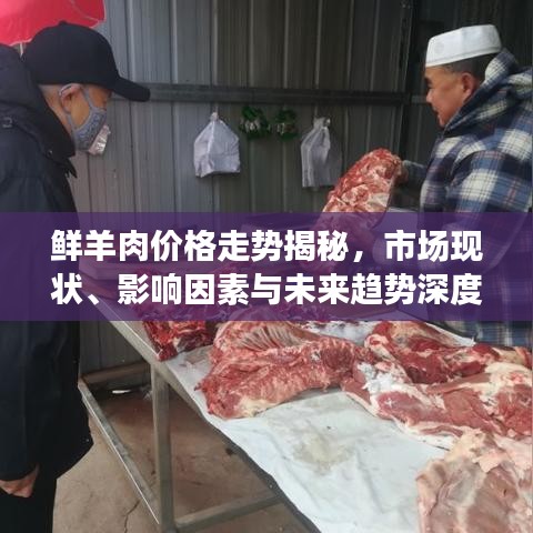 鲜羊肉价格走势揭秘，市场现状、影响因素与未来趋势深度解析