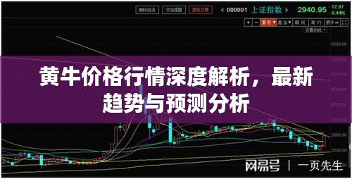 黄牛价格行情深度解析，最新趋势与预测分析