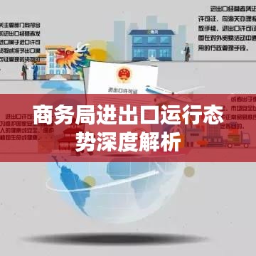 商务局进出口运行态势深度解析