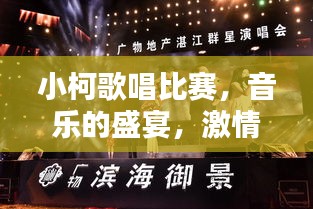 小柯歌唱比赛，音乐的盛宴，激情的碰撞