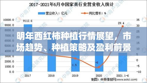 明年西红柿种植行情展望，市场趋势、种植策略及盈利前景分析