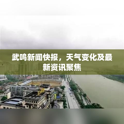 武鸣新闻快报，天气变化及最新资讯聚焦