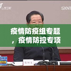 疫情防疫组专题，疫情防控专项小组 