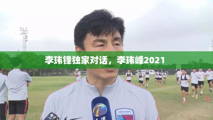 李玮锋独家对话，李玮峰2021 