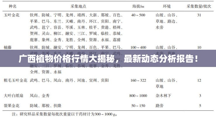 广西植物价格行情大揭秘，最新动态分析报告！