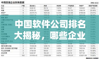 中国软件公司排名大揭秘，哪些企业独占鳌头？