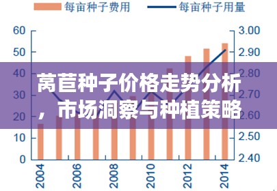 莴苣种子价格走势分析，市场洞察与种植策略建议