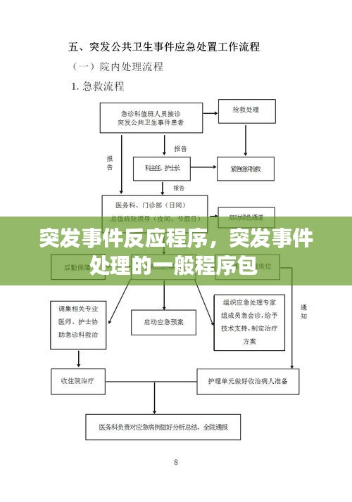 突发事件反应程序，突发事件处理的一般程序包 