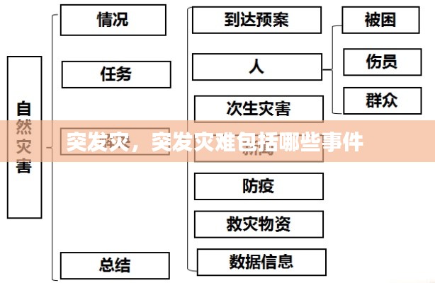 2025年1月19日 第2页