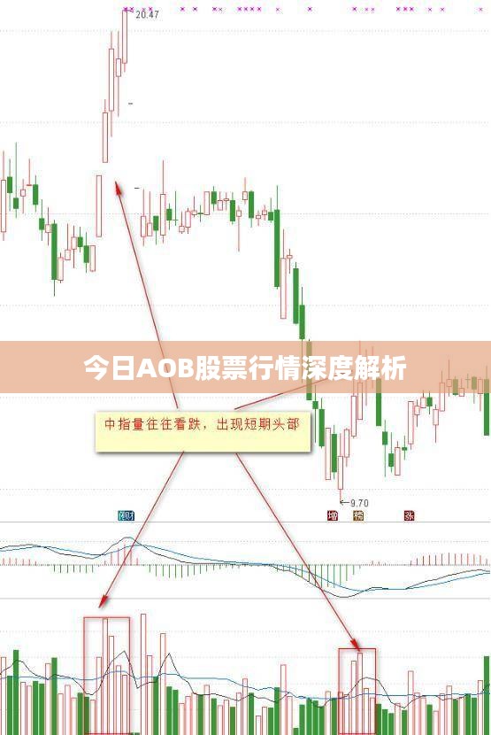 今日AOB股票行情深度解析