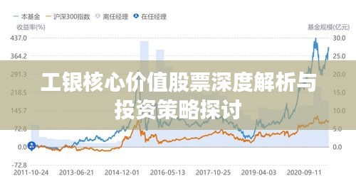 工银核心价值股票深度解析与投资策略探讨