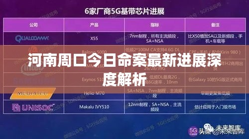 河南周口今日命案最新进展深度解析