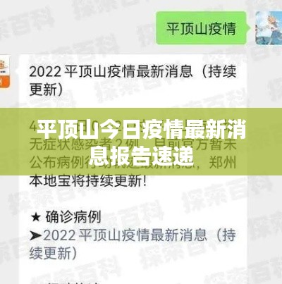 平顶山今日疫情最新消息报告速递