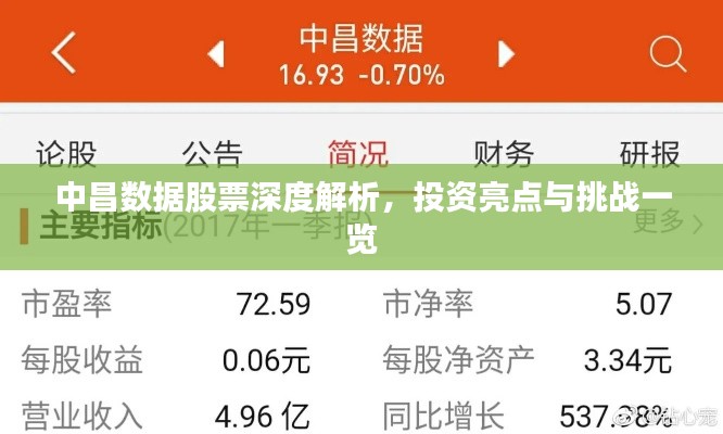 中昌数据股票深度解析，投资亮点与挑战一览