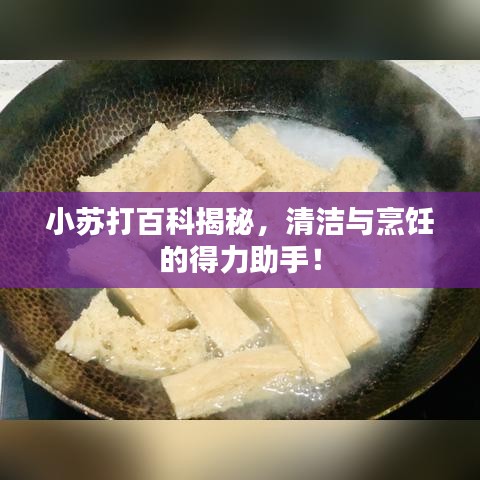 小苏打百科揭秘，清洁与烹饪的得力助手！