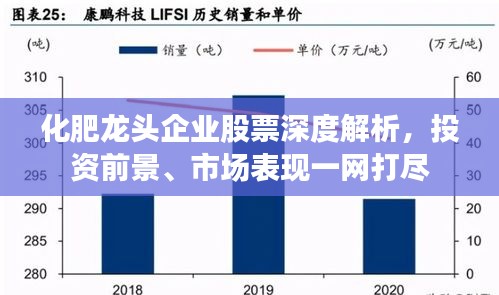 化肥龙头企业股票深度解析，投资前景、市场表现一网打尽