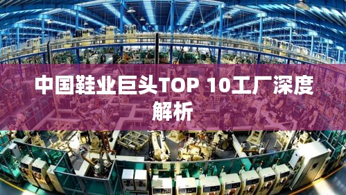 中国鞋业巨头TOP 10工厂深度解析