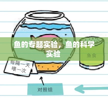 2025年1月26日 第3页