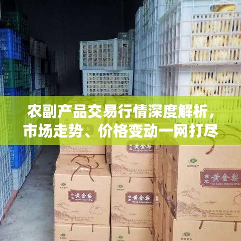 农副产品交易行情深度解析，市场走势、价格变动一网打尽！