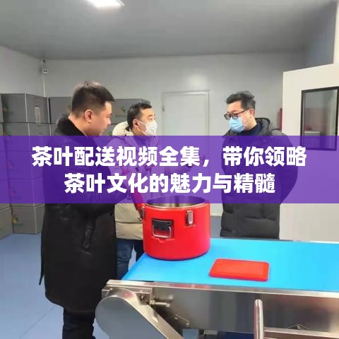 茶叶配送视频全集，带你领略茶叶文化的魅力与精髓