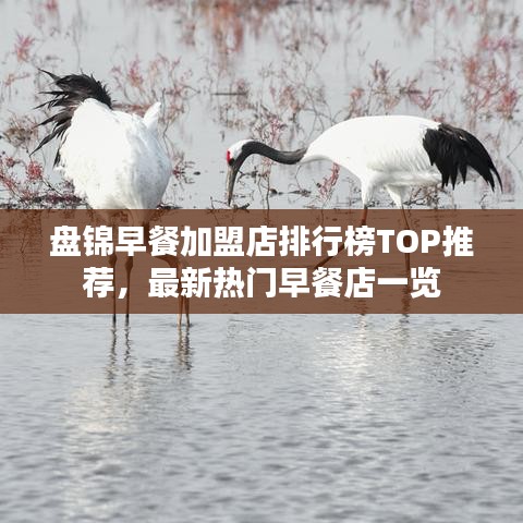 盘锦早餐加盟店排行榜TOP推荐，最新热门早餐店一览