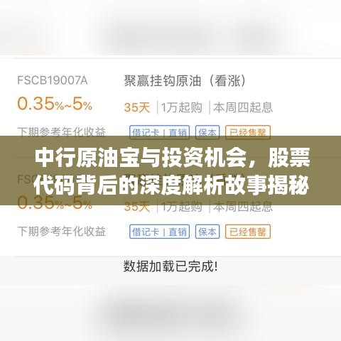 中行原油宝与投资机会，股票代码背后的深度解析故事揭秘
