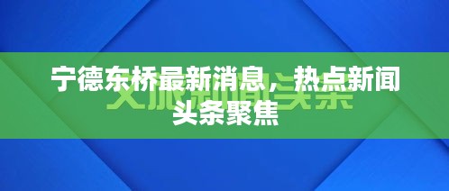 宁德东桥最新消息，热点新闻头条聚焦