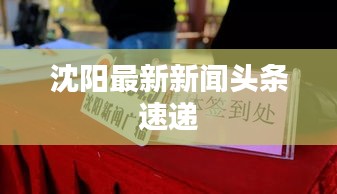 沈阳最新新闻头条速递