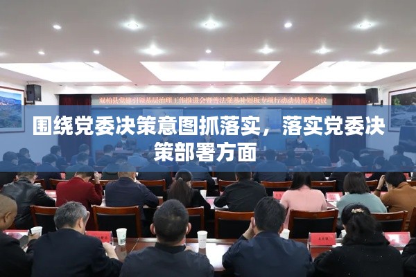 围绕党委决策意图抓落实，落实党委决策部署方面 