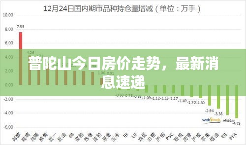 普陀山今日房价走势，最新消息速递